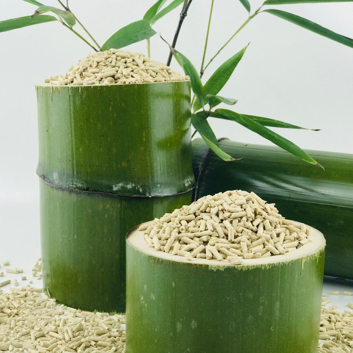 All Natural Bamboo Litter