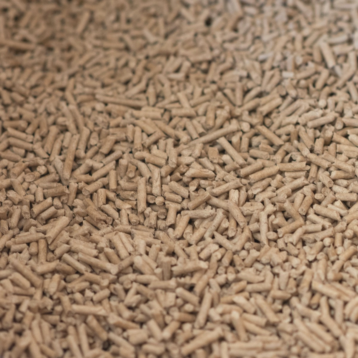 All Natural Bamboo Litter